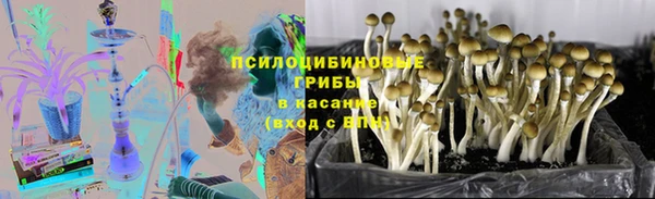 СК Абдулино