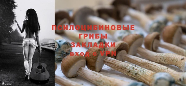 таблы Пересвет