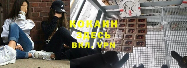мдпв Абинск