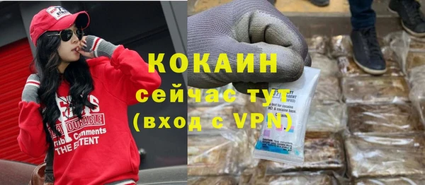 крисы Абаза