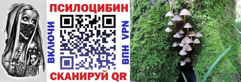 OMG tor  купить   Знаменск  Псилоцибиновые грибы Magic Shrooms 